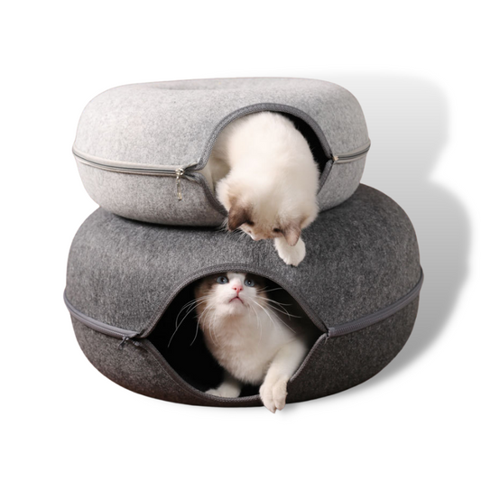 Lekfull Tunnel Kattsäng 2.0 - Delicats™