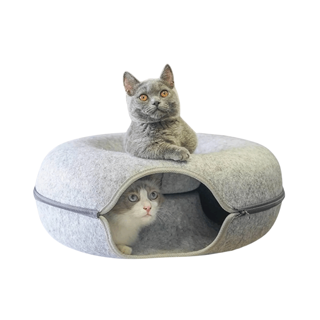 Lekfull Tunnel Kattsäng 2.0 - Delicats™