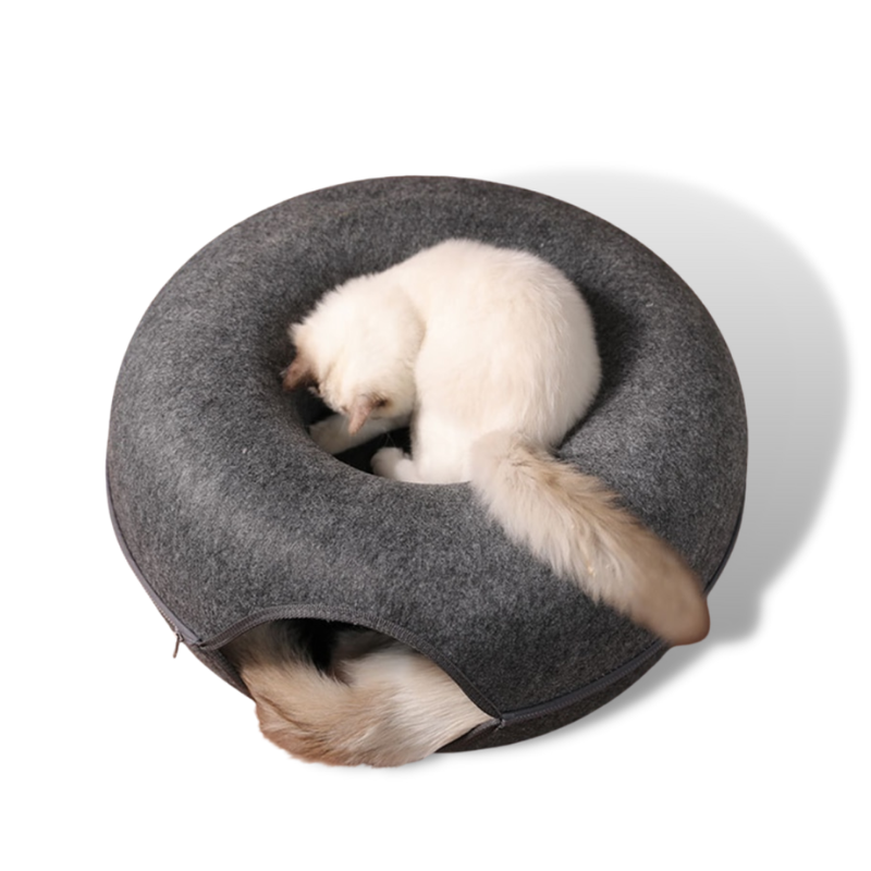 Lekfull Tunnel Kattsäng 2.0 - Delicats™